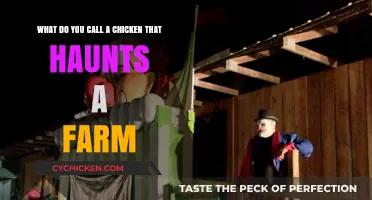 Spooky Farm Tales: The Haunting Clucks