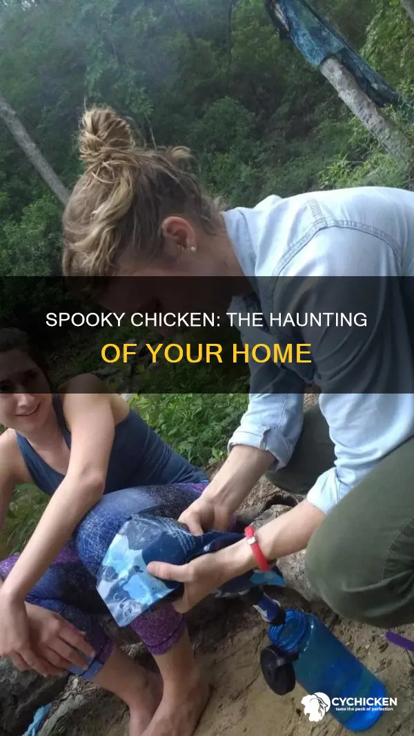 what do you call a chicken that haunts your house