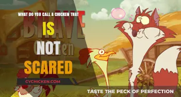 How to Raise a Brave Chicken?