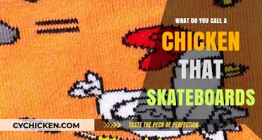 Clucking Cool Tricks: The Skateboarding Chicken's Unique Name Revealed