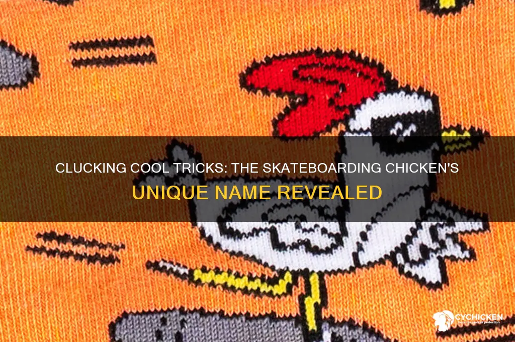 what do you call a chicken that skateboards