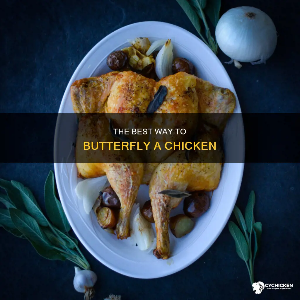 what do you call a chicken thats been butterflied