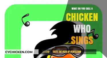 Clucking Melodies: The Whimsical World of a Singing Chicken