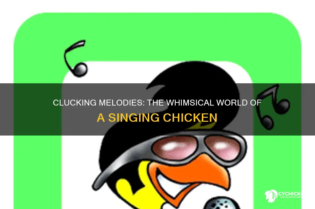 what do you call a chicken who sings