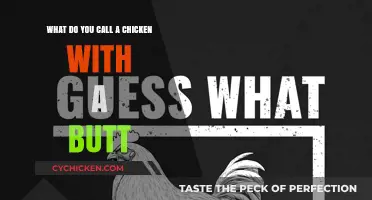 The Chicken's Butt: A Unique Feature