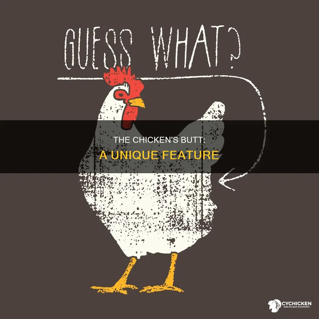 what do you call a chicken with a butt