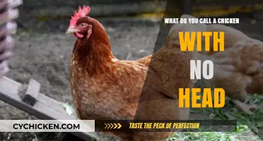 The Perplexing Case of Headless Chickens: What's in a Name?
