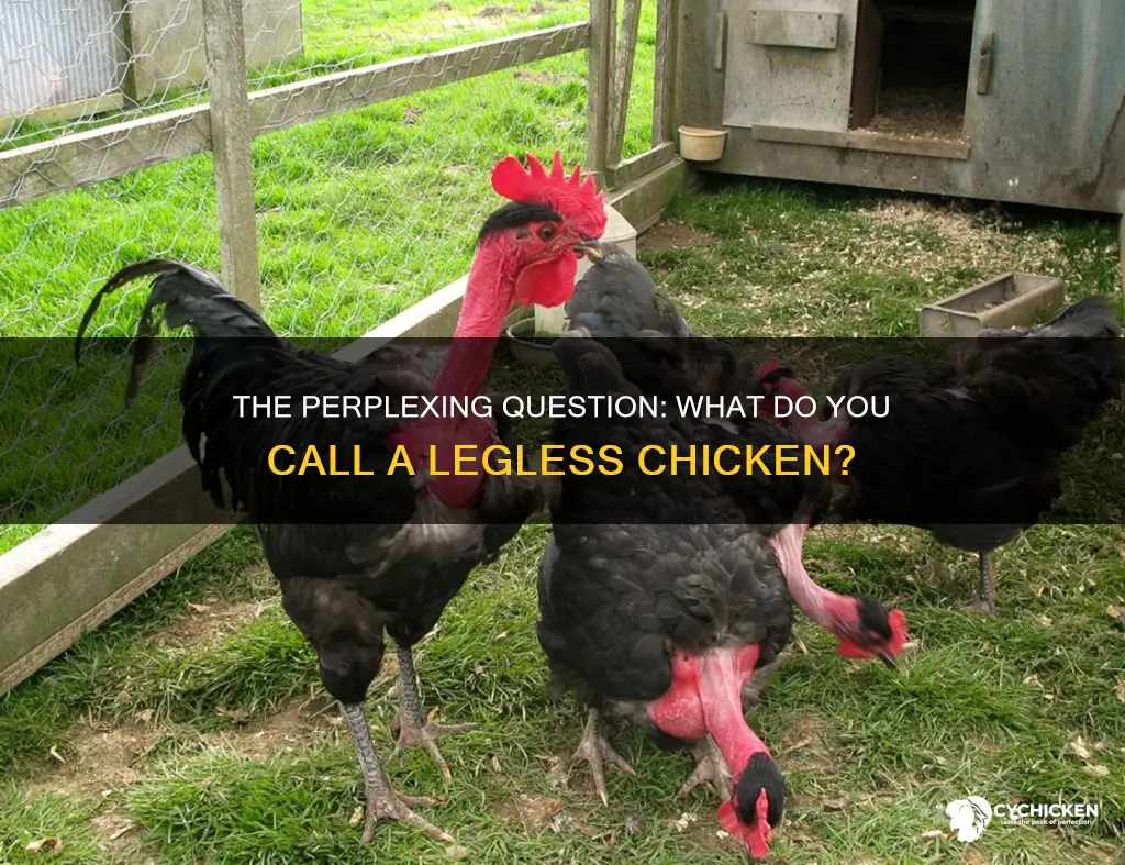 what do you call a chicken with no legs