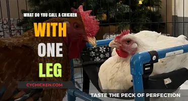 A One-Legged Wonder: The Unsteady Chicken