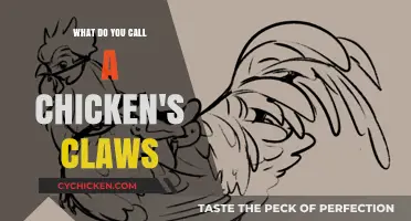 Unveiling the Mystery: What Are Chicken Claws Really Called?