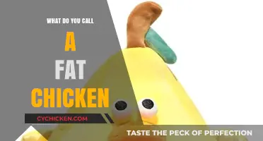 What Do You Call a Fat Chicken? Exploring Poultry Nicknames and Humor