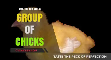 A Brood of Fluff: What to Call a Group of Chicks