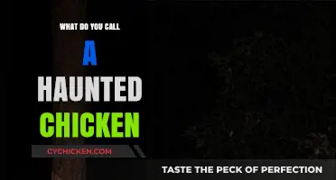 What Do You Call a Haunted Chicken? Spooky Poultry Explained