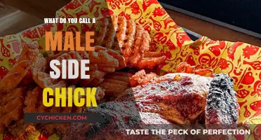 Understanding the Male Side Chick: A Modern Relationship Term Decoded