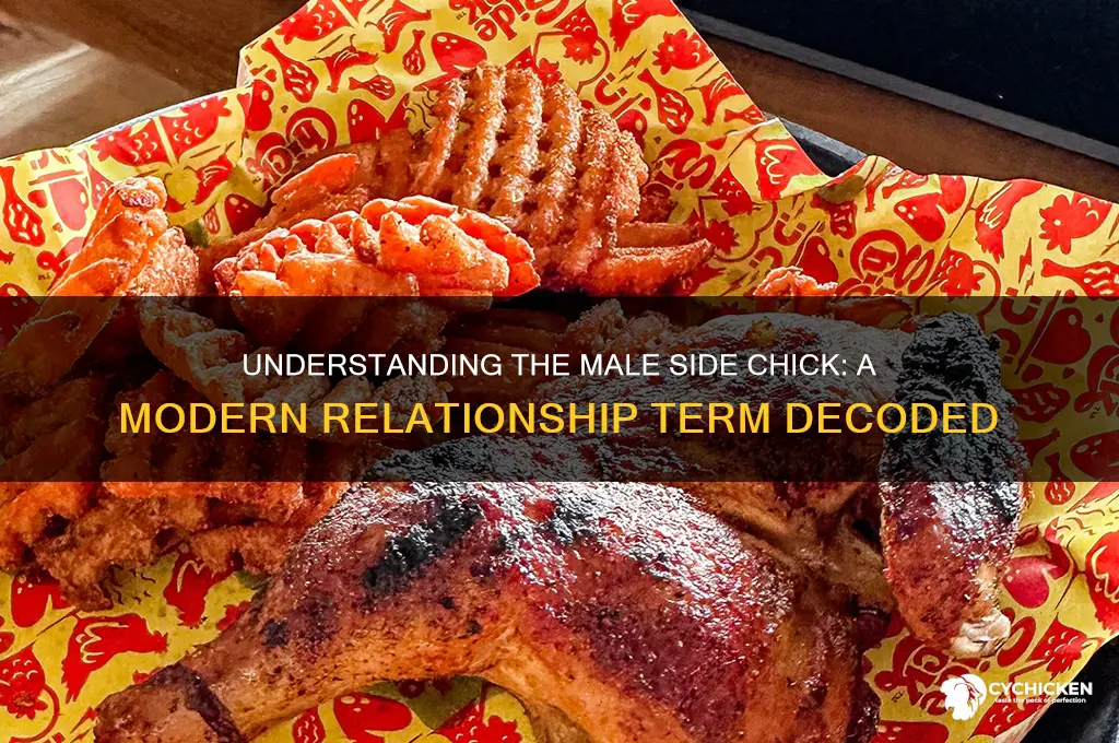 what do you call a male side chick