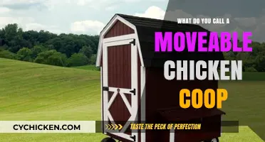 Portable Poultry Palace: The Ultimate Guide to Movable Chicken Coops