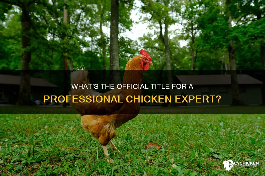 what do you call a professional chicken