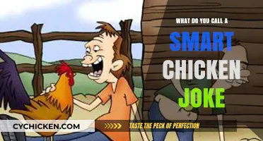 What Do You Call a Smart Chicken? A Cluck-worthy Joke Explained