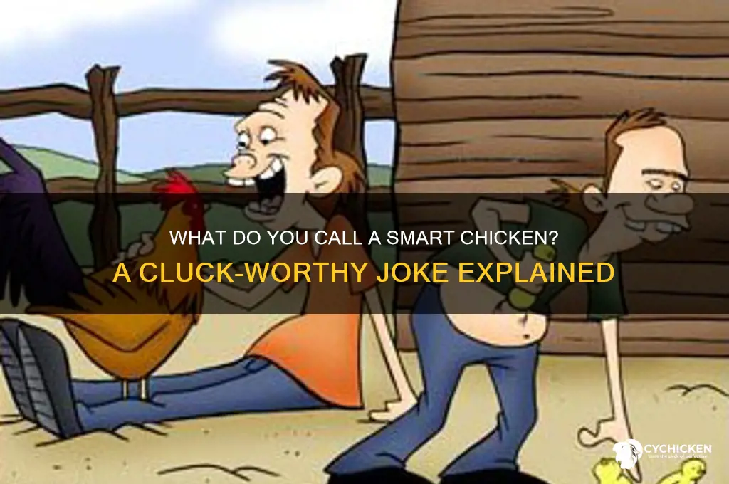 what do you call a smart chicken joke