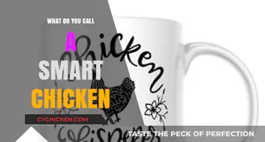 What Do You Call a Smart Chicken? Unraveling the Poultry Paradox
