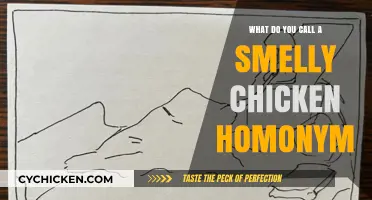 Fowl Odor, Same Sound: The Smelly Chicken Homonym Explained