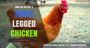 Three-Legged Chicken: Uncovering the Unique Name and Story Behind It