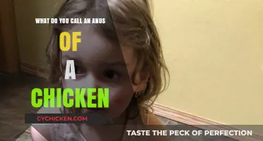 What's in a Name? Chicken Anatomy 101