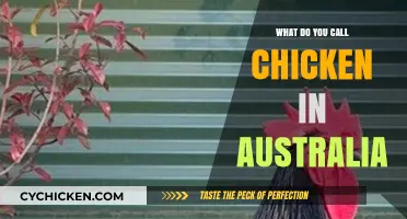 Aussie Chicken Names: Uncovering Australia's Unique Poultry Terminology