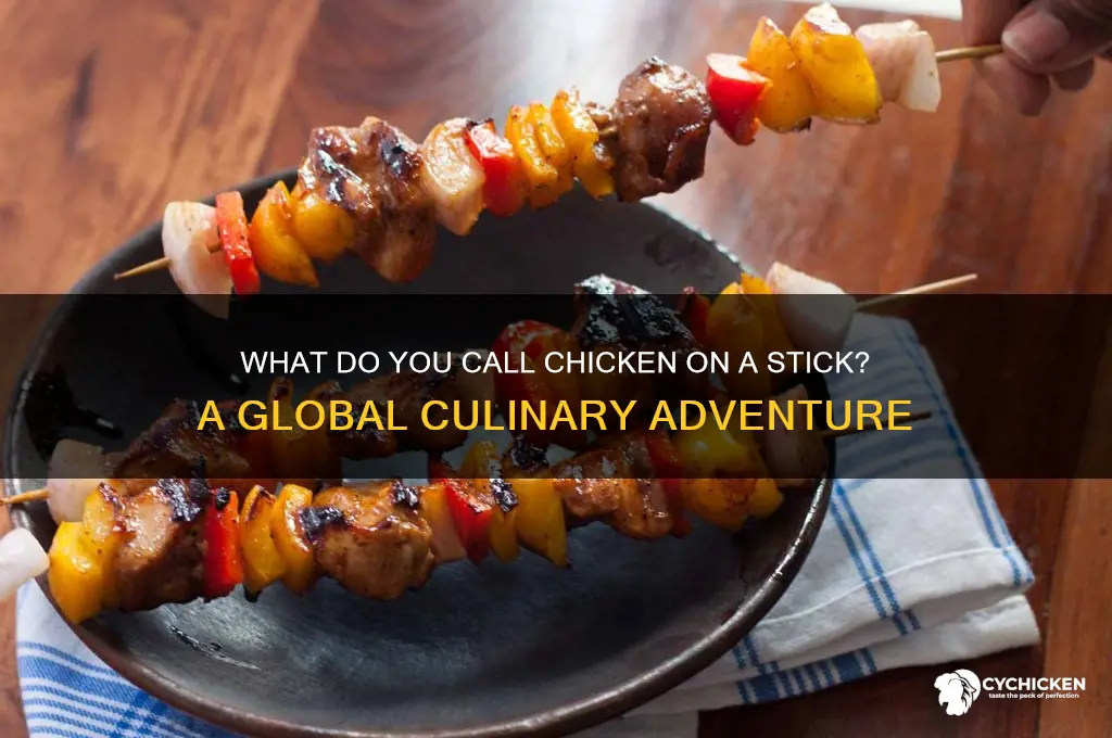 what do you call chicken on a stick
