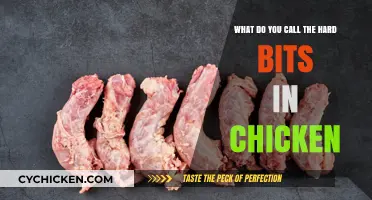 Exploring the Cartilage in Chicken: What's the Hard Bits?