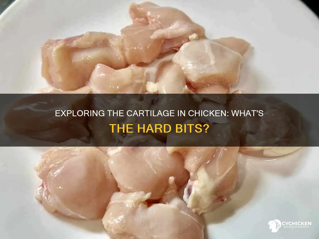 what do you call the hard bits in chicken