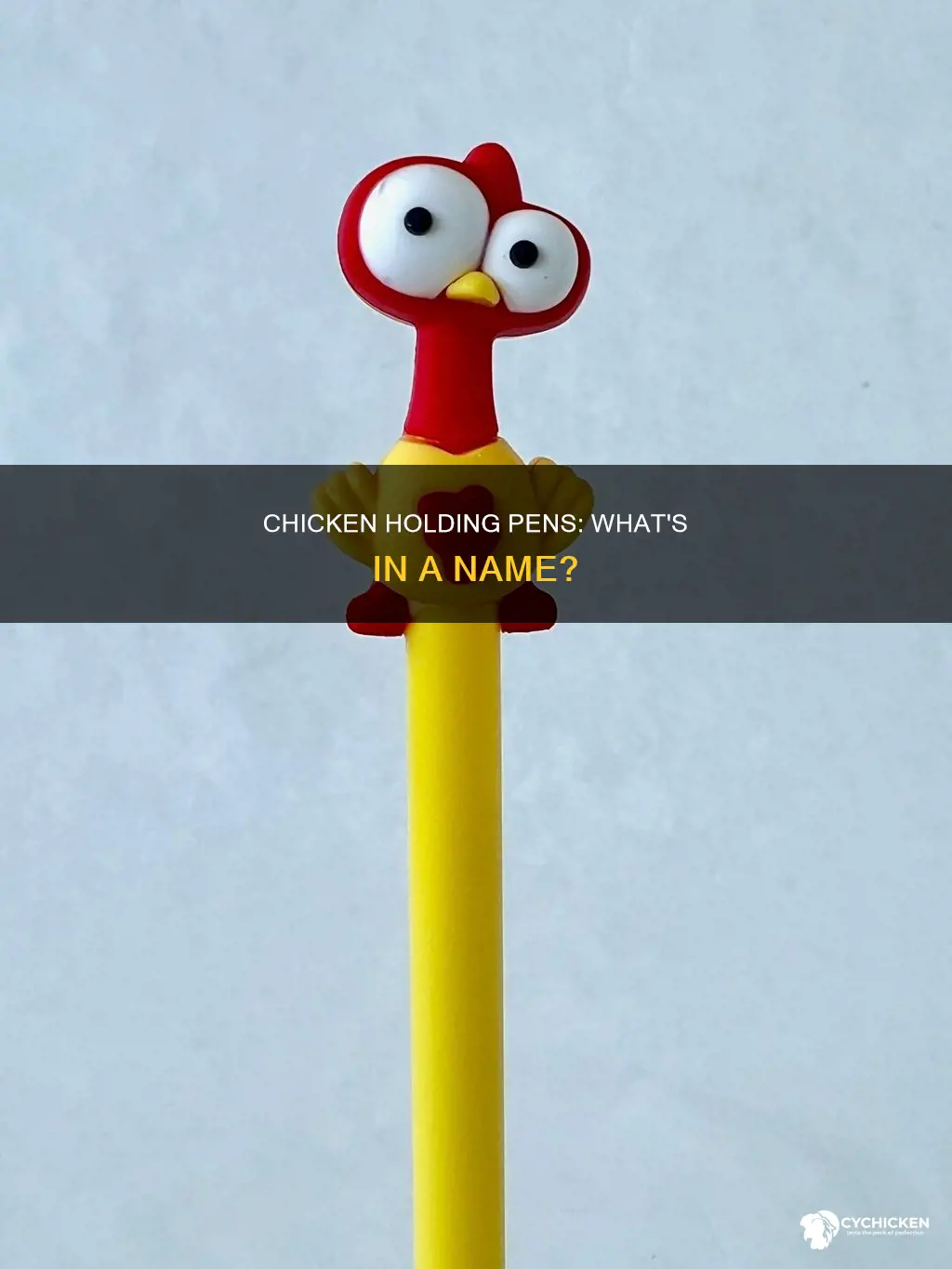 what do you call the holding pen in chicken barns