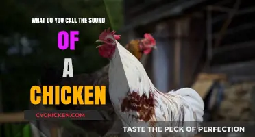 The Clucks, Cackles, and Crowing of Chickens