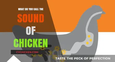 Clucks, Chirps, or Peeps: Decoding the Unique Sounds of Chickens