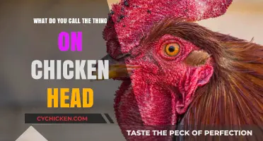 The Odd Name for the Thing on a Chicken's Head