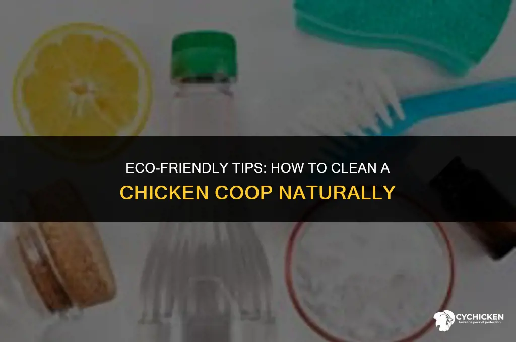 what do you clean a chicken coop with