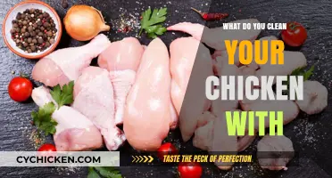 Best Chicken Cleaning Tips: Safe, Effective Methods for Fresh Poultry