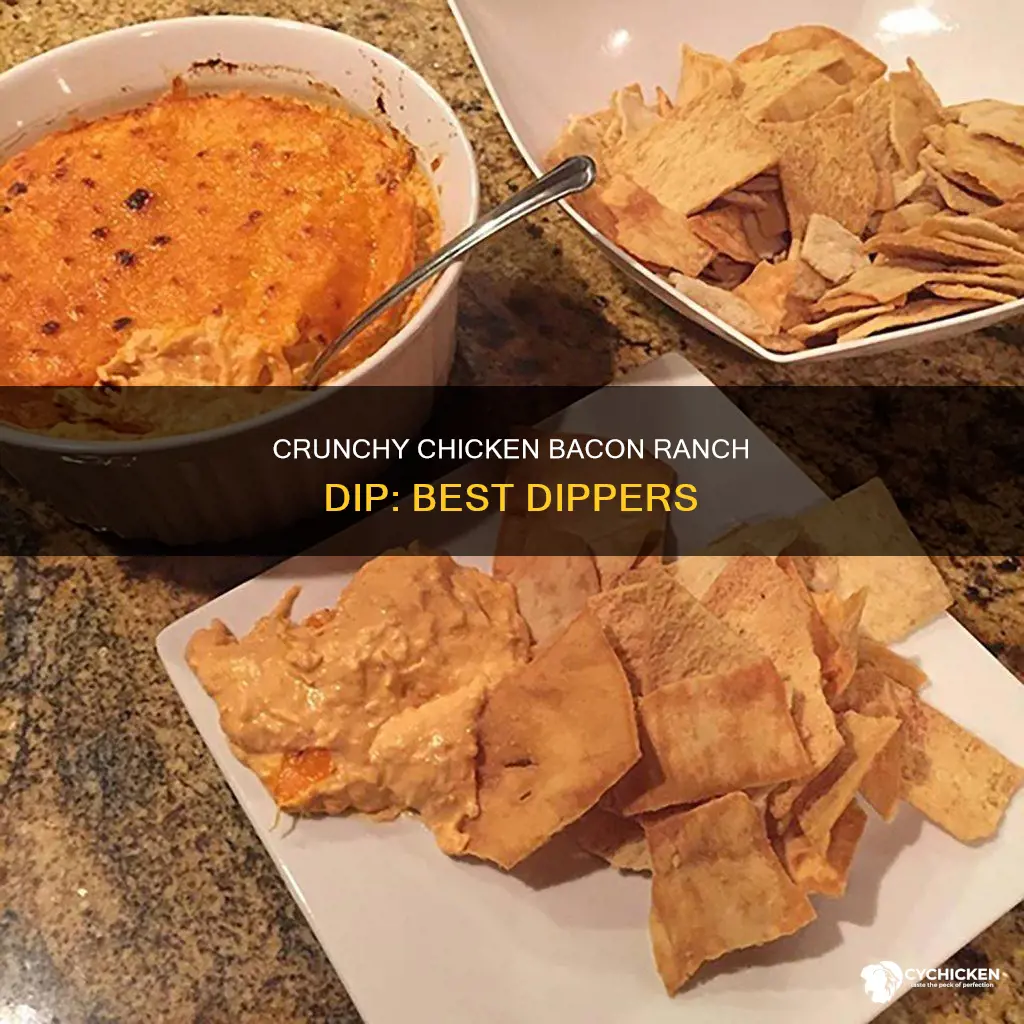 what do you dip in chicken bacon ranch dip