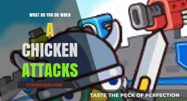 Surviving a Chicken Attack: Quick Tips to Stay Safe and Calm