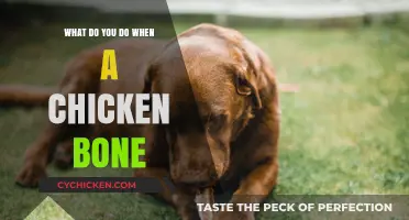 Chicken Bone Stuck? Quick, Safe, and Effective Solutions to Try Now