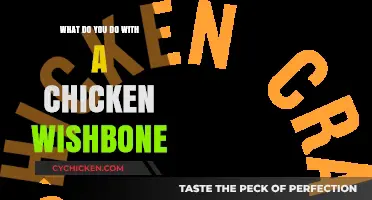 Creative Uses for Chicken Wishbones: From Tradition to Upcycling Ideas