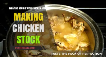 Creative Ways to Use Chicken After Making Chicken Stock