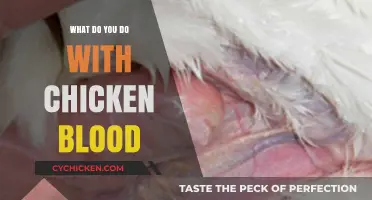 Creative Uses for Chicken Blood: From Cooking to Crafts and Beyond