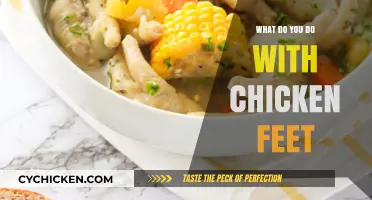 Creative Ways to Cook and Enjoy Chicken Feet Globally