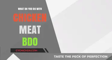 Creative Ways to Use Chicken Meat in Black Desert Online