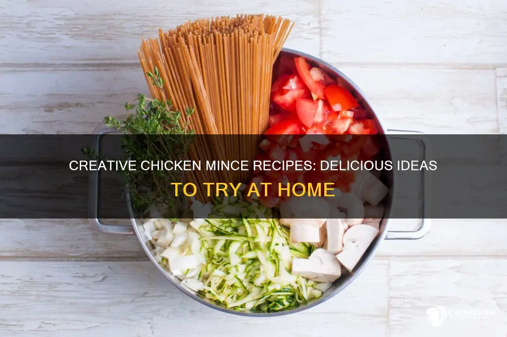 what do you do with chicken mince