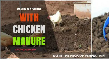 Boosting Garden Growth: Effective Use of Chicken Manure as Fertilizer