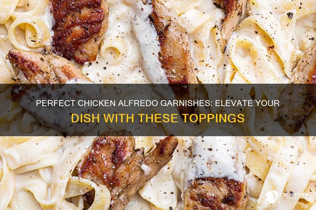 what do you garnish chicken alfredo with