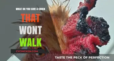 Helping an Unsteady Chick: What to Do and Feed