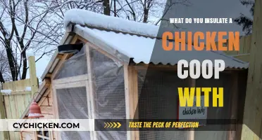 Cozy Quarters: Best Insulation Tips for Your Chicken Coop